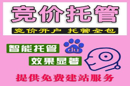 信息流广告投放公司案例优化策略